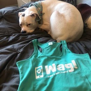 Wag Walker Gear